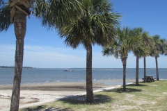 calibogue-sound-hilton-head-south-carolina-palm-trees