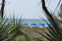 coligny-beach-hilton-head-sc