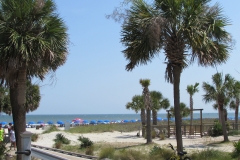 coligny-beach-hilton-head