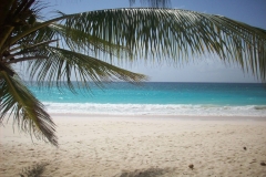 maxwell-beach-barbados