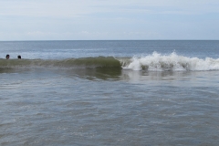 hilton-head-waves