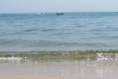 parks-river-beach-cape-cod