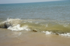 rehoboth-beach-surfs